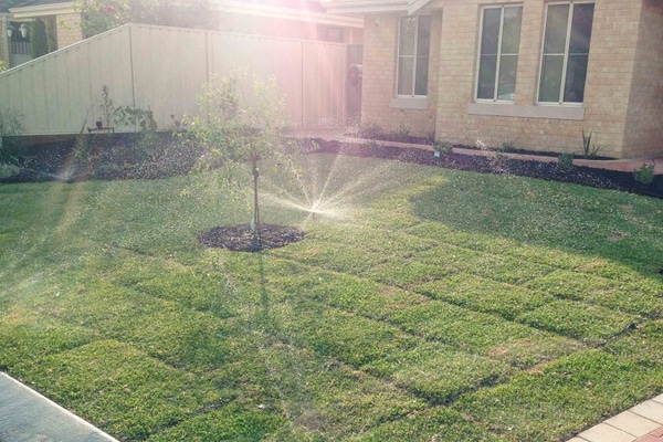 Hunter MP Rotator Hunter MP Rotator