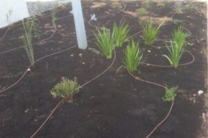 Typical Reticulation Line Installing Waterwise Reticulation in Perth - Luke's Landscaping