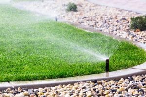 reticulation 5 things you must do