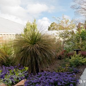 Landscape Services