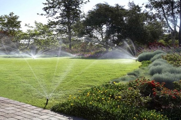 Lawn Sprinkler System - Immaculate Landscaping