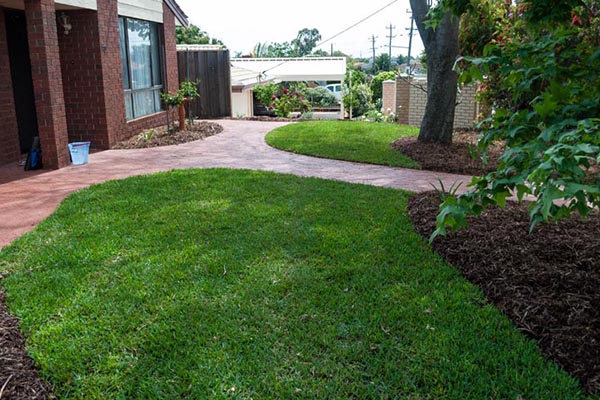 Lawn Installation Perth Experts