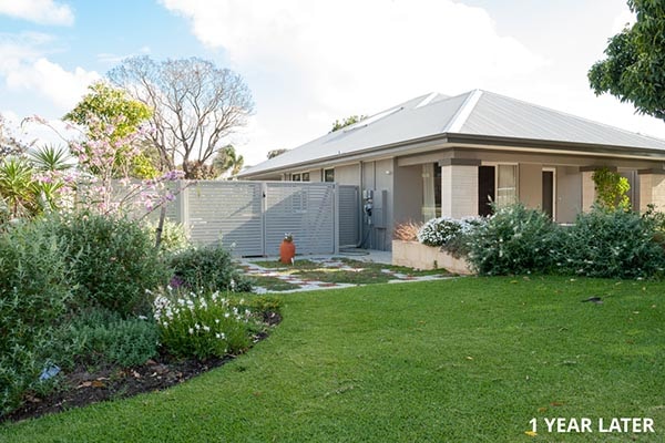 Lawn Installation Services Sir Velvetene