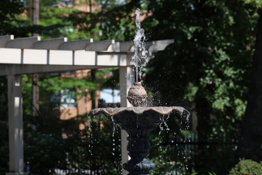 How Modern Water Features Transform a Luxury Landscape