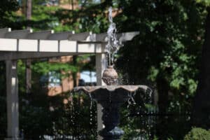 How Modern Water Features Transform a Luxury Landscape