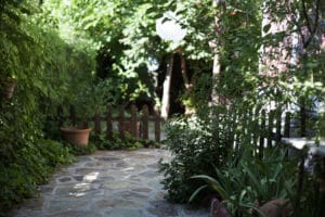 Landscaping Ideas For Small Perth Backyards