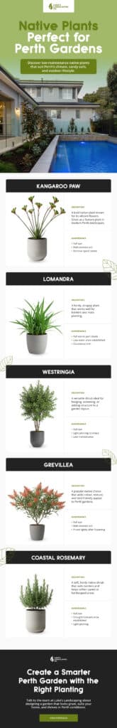 Native Plants Perfect For Perth Gardens Infographic