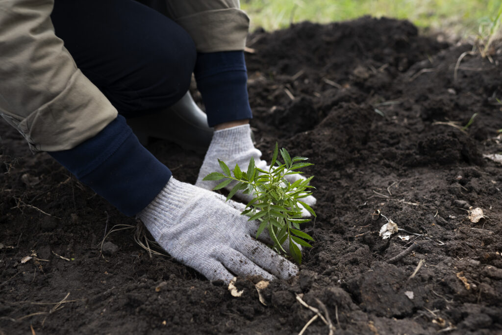 Ready To Plant Something That Actually Works Here